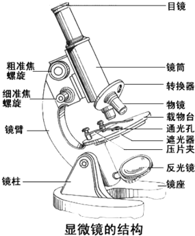 如何选购显微镜？电子显微镜、光学显微镜、金相显微镜、生物显微镜不知道怎么选？—2021显微镜推荐